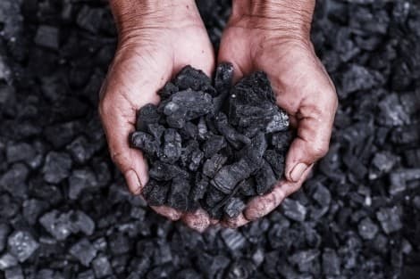 Coal India's Fiscal First-Quarter Profit Rises on 7.8% Revenue Growth
