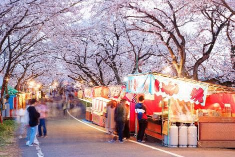 Japan's Retail Sales Surge 5.3% in May, Exceeding Forecasts